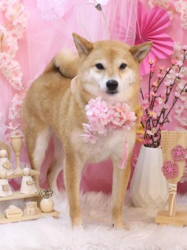 20250326シュウくん